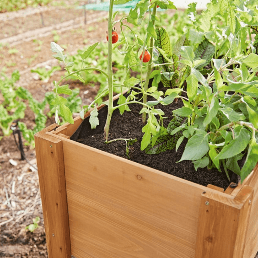 PARKSIDE WOODEN PROPAGATOR ON LEGS