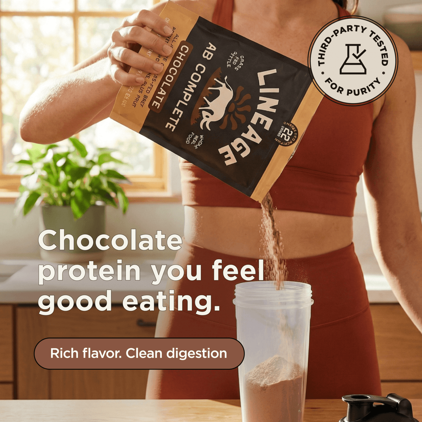Animal-based Complete Protein Powder (Chocolate)
