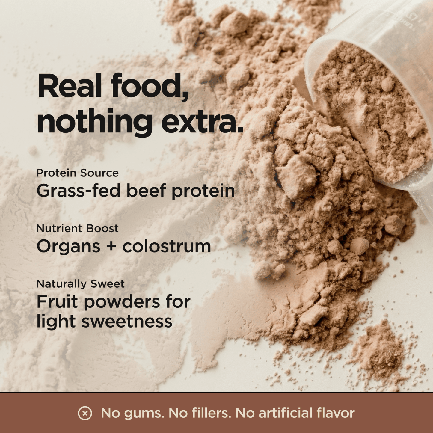 Animal-based Complete Protein Powder (Chocolate)