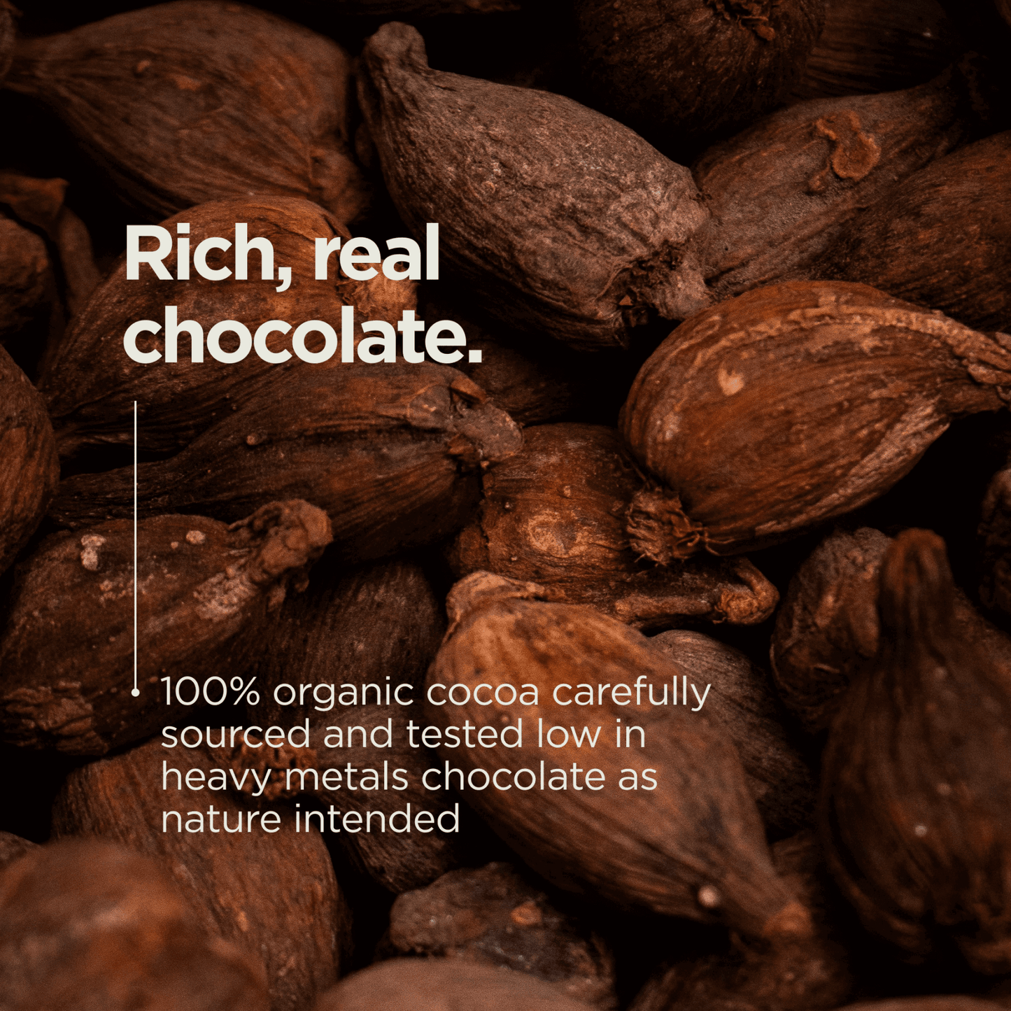 Animal-based Complete Protein Powder (Chocolate)