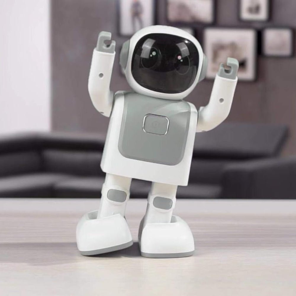 Picocici Robert Robot Bluetooth Speaker RS01