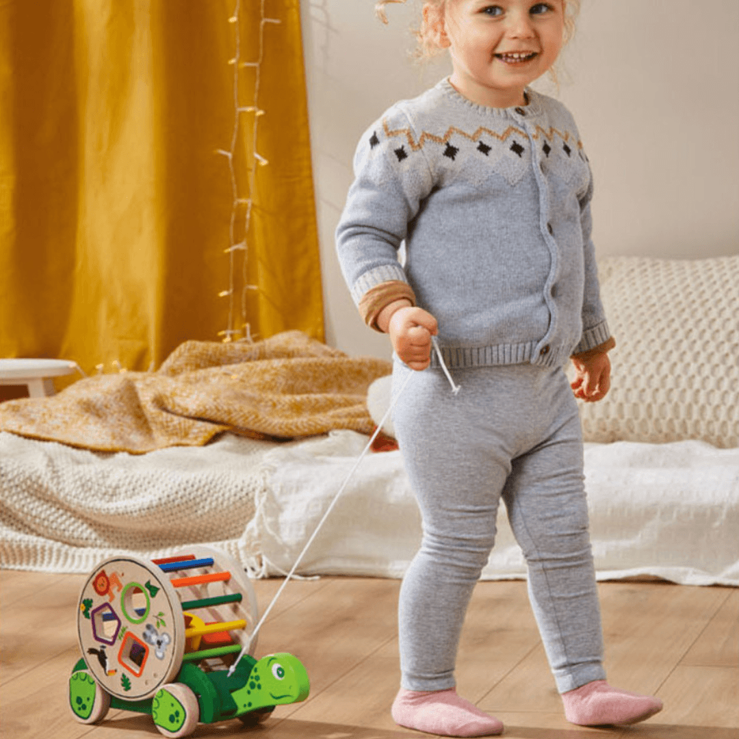 Playtive Wooden Pull-Along Turtle
