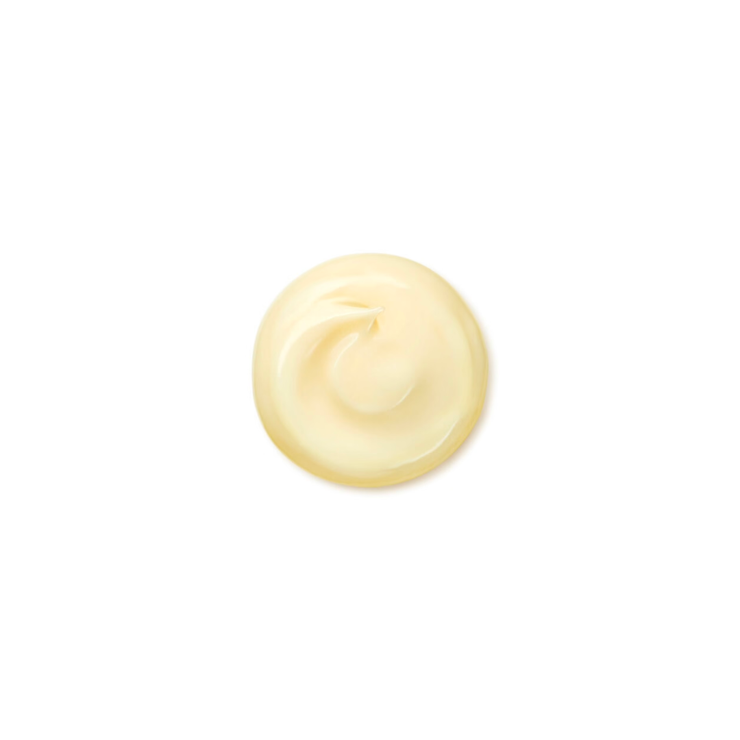 Shiseido Benefiance Wrinkle Smoothing Cream - Medaid International