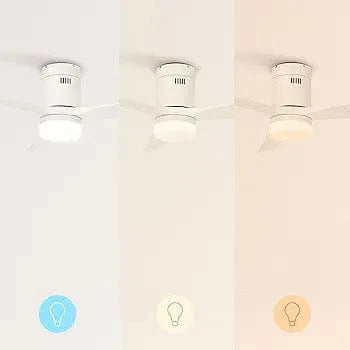 Create Ceiling Fan with Light - Medaid International