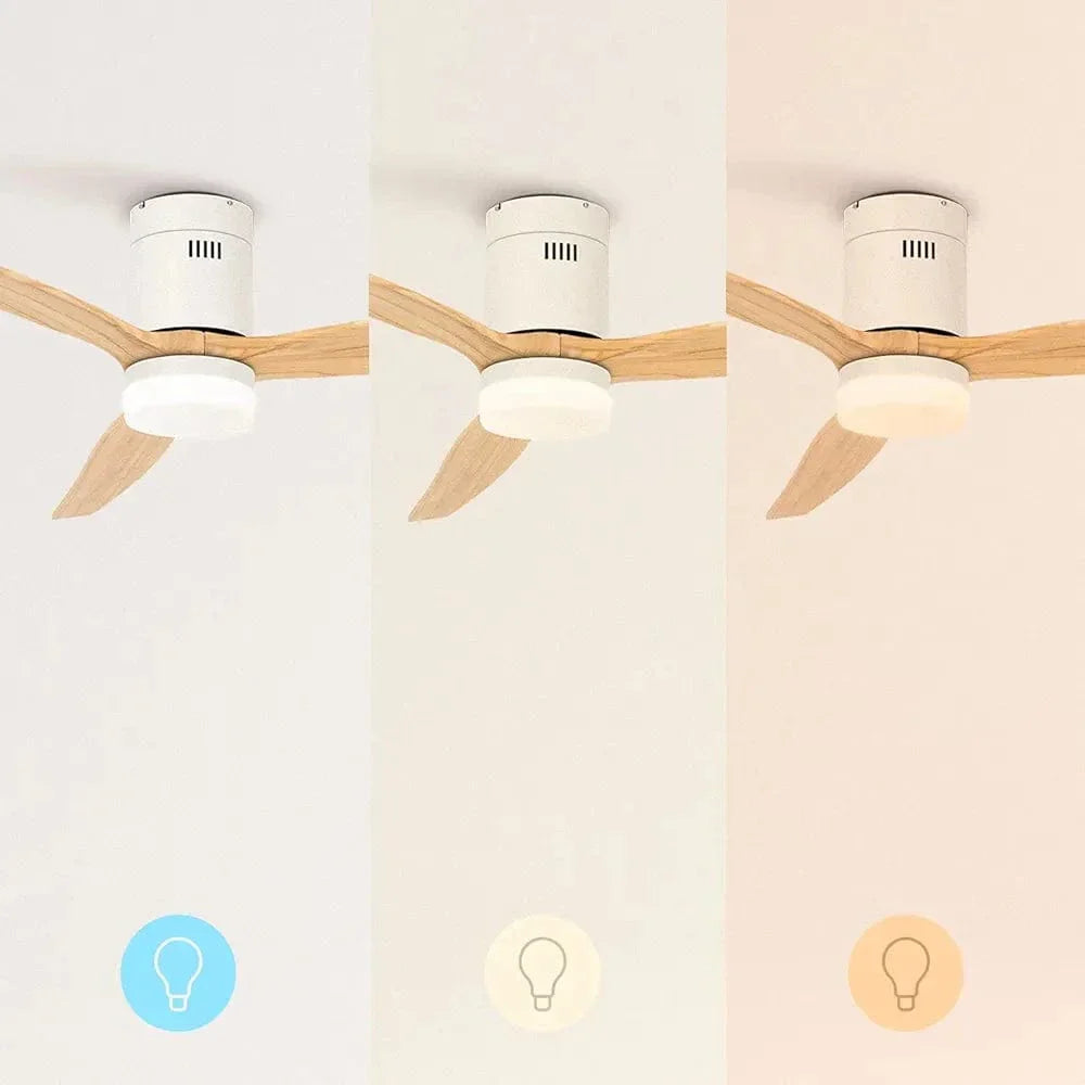 Create Ceiling Fan with Light - Medaid International