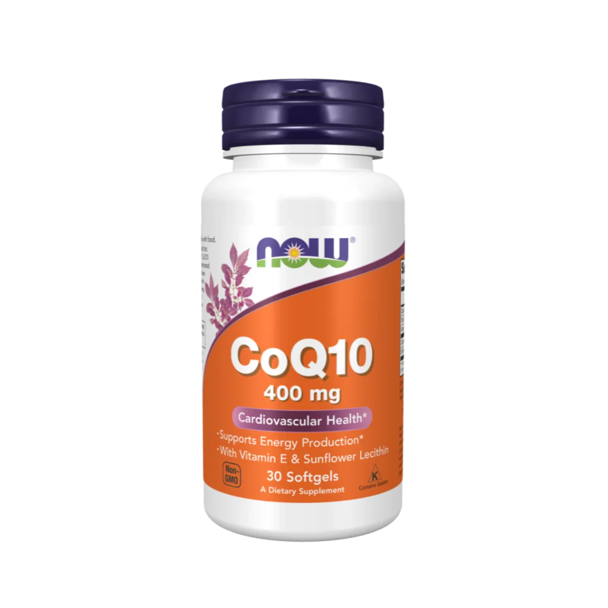 Coq10 Now
