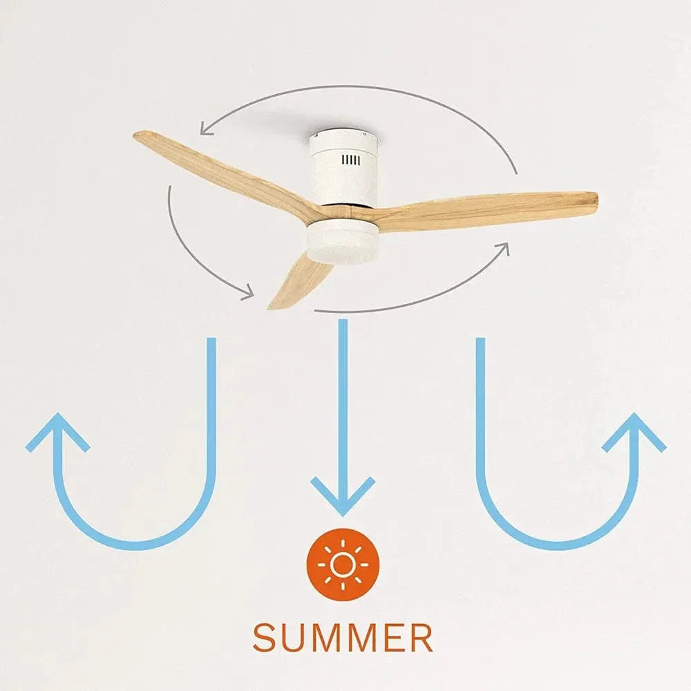 Create Ceiling Fan with Light - Medaid International