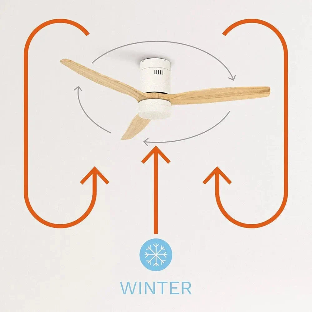 Create Ceiling Fan with Light - Medaid International