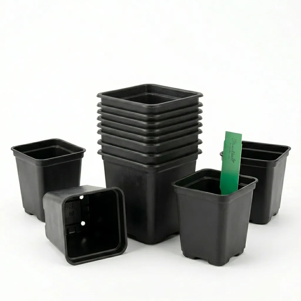 Jes Collection 12 pcs Plant Pot|Jes Collection In Lebanon