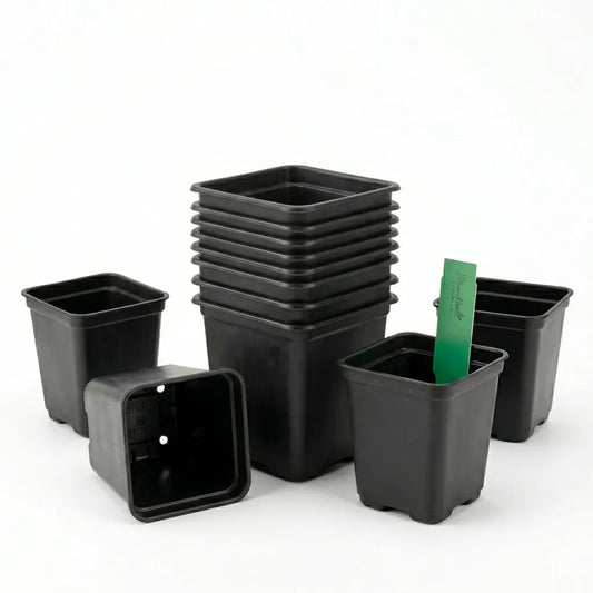 Jes Collection 12 pcs Plant Pot|Jes Collection In Lebanon