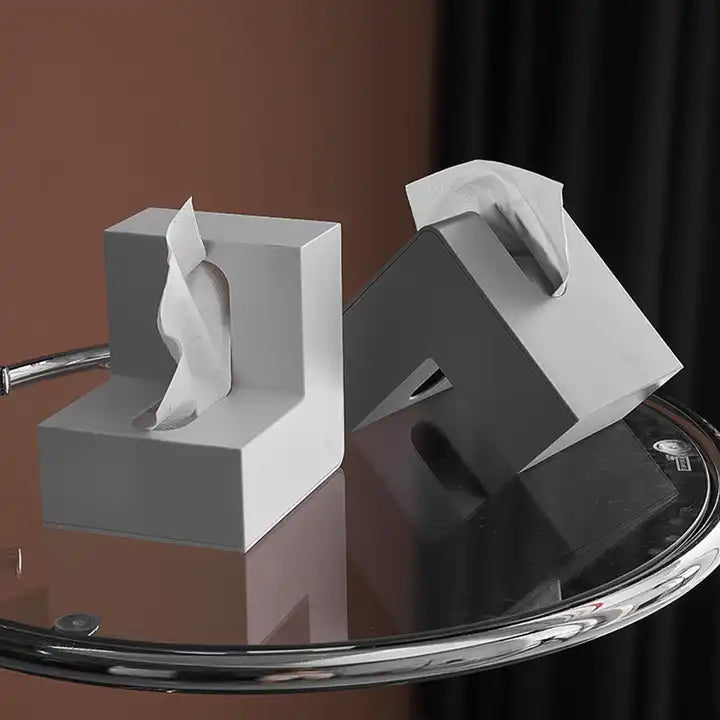 Modern Plastic Tissue box