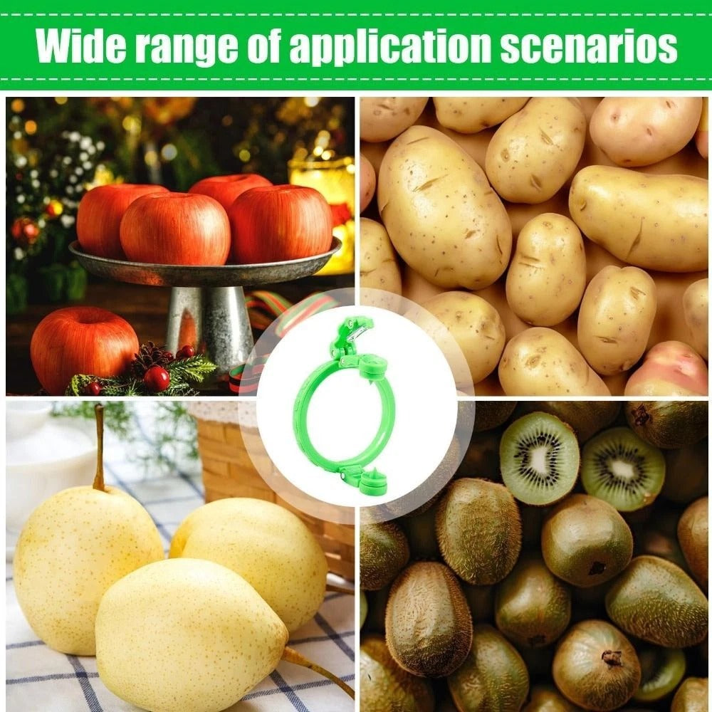 Fruit & Vegetable Peeler Machine