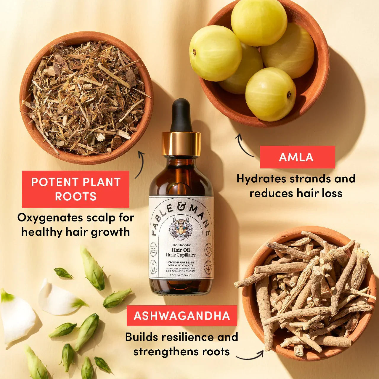 Fable & Mane - Mini Strength & Shine Hair Oiling Duo - Medaid International