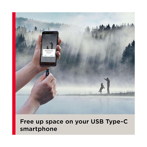SanDisk 128GB Ultra Dual Drive Go USB Type-C Flash Drive, Black - SDDDC3-128G-G46