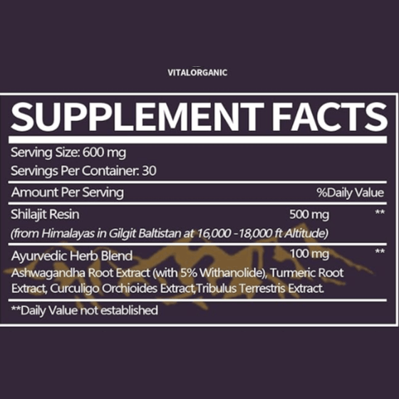 VitalOrganic, Himalayan Shilajit Resin, 30g