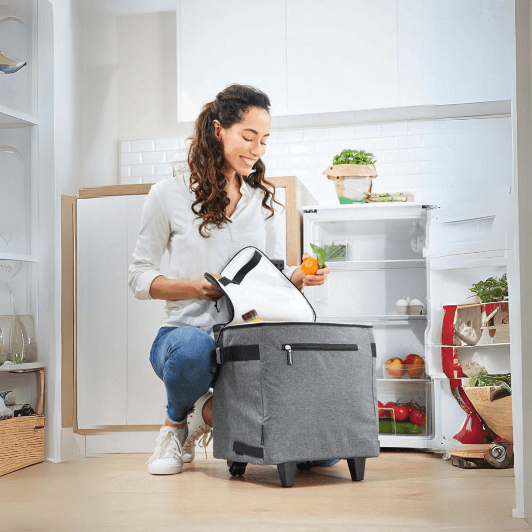 Shopping Trolley With Cooling Function 40L