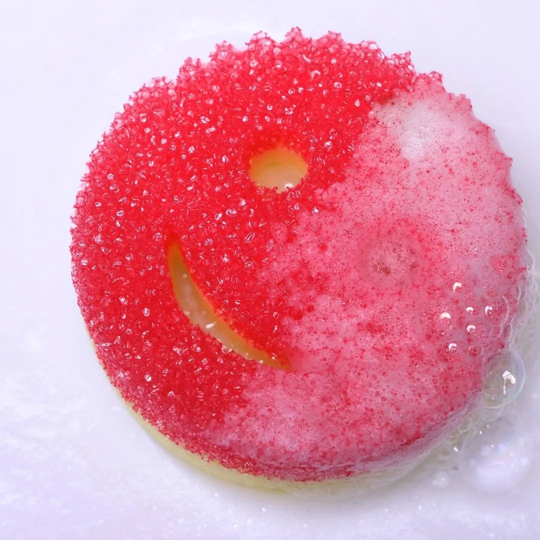 Smiley Sponge