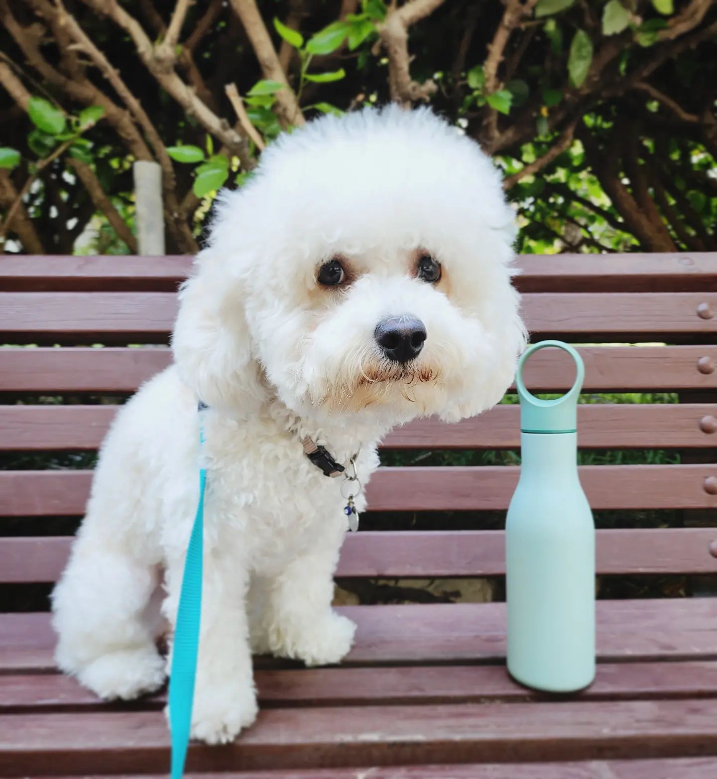 Joseph Joseph Loop™ 500ml Stainless-steel Vacuum Insulated Water Bottle Green