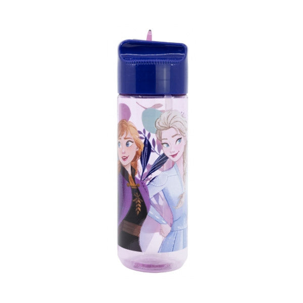 Stor Large Ecozen Hydro Bottle 540ml Frozen Trust The Journey - 74223