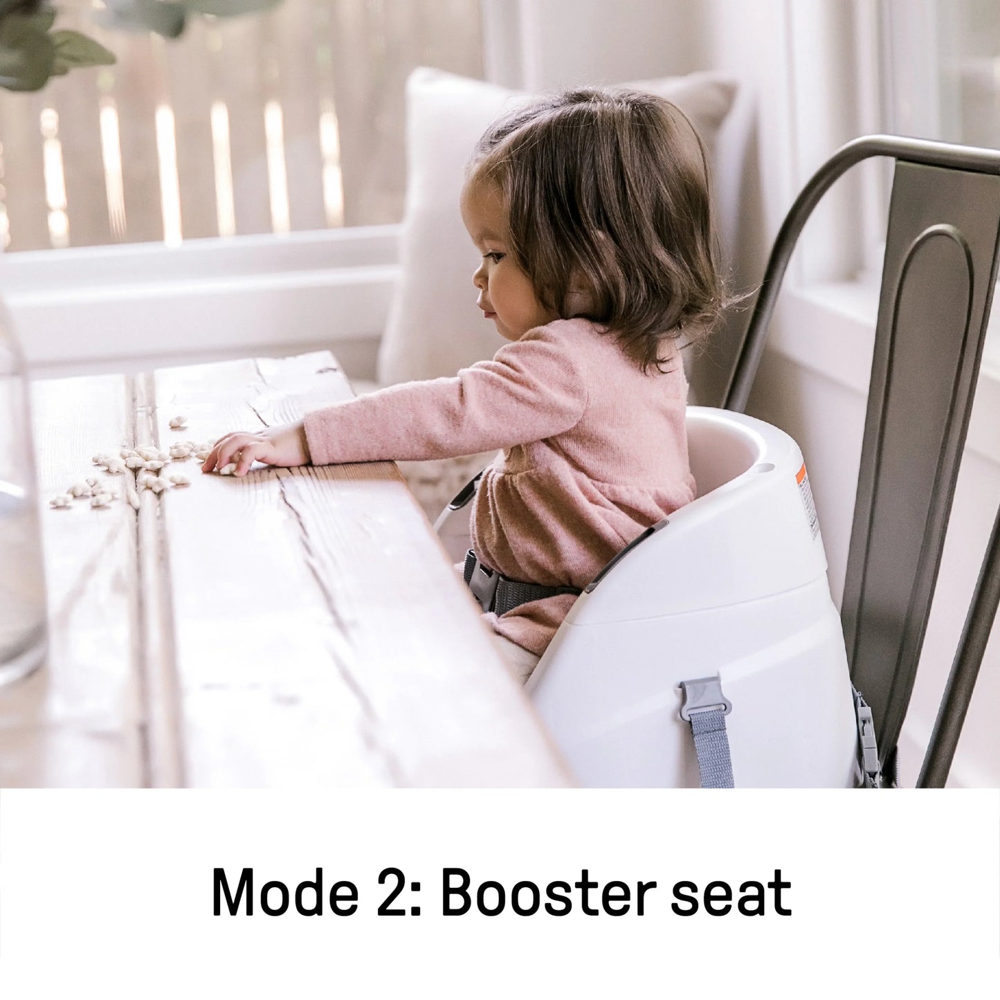Kids2 - Ingenuity  Baby Base - 2in1 Seat - Slate