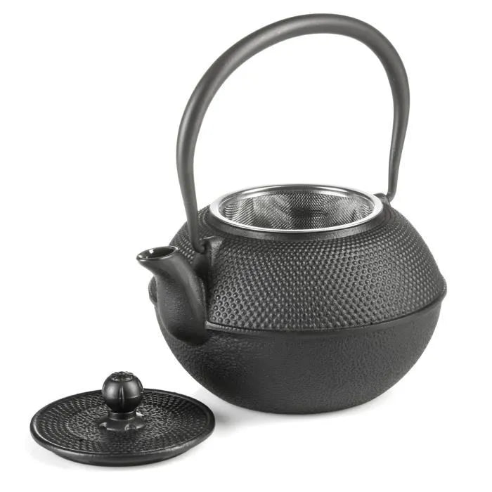 Dimono cast iron teapot