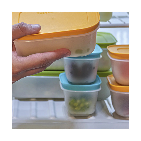 Tupperware, FreezerMates Mini 170ml 2-Piece Set - 239359