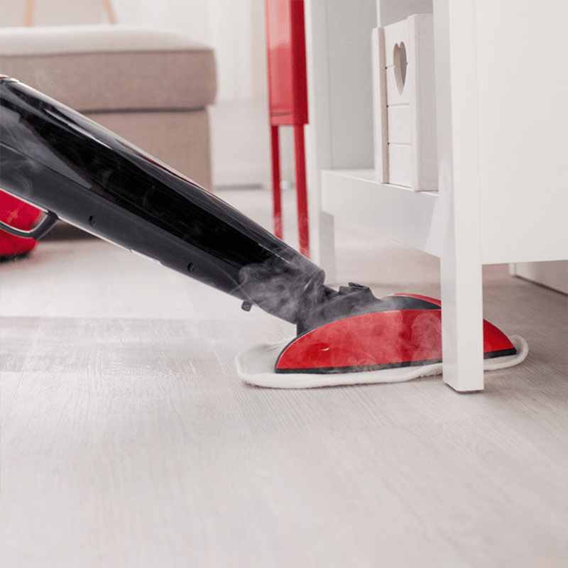 VILEDA STEAM CLEANER