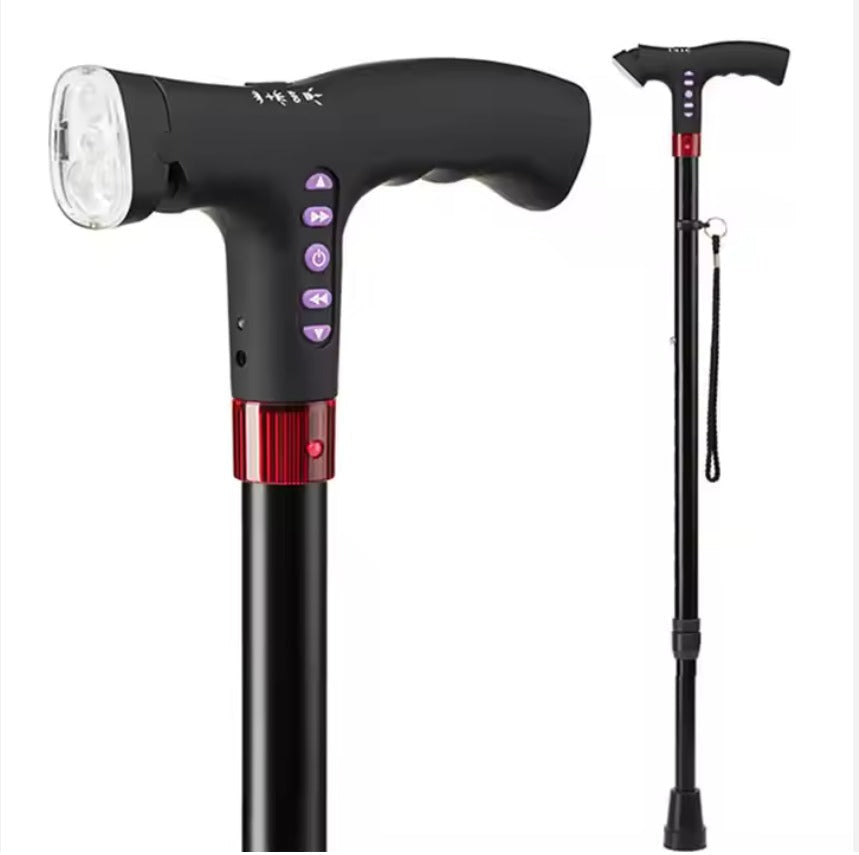 Multifunctional Smart Cane