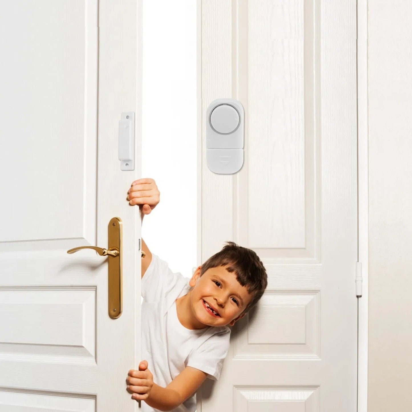 Door and Window Alarm