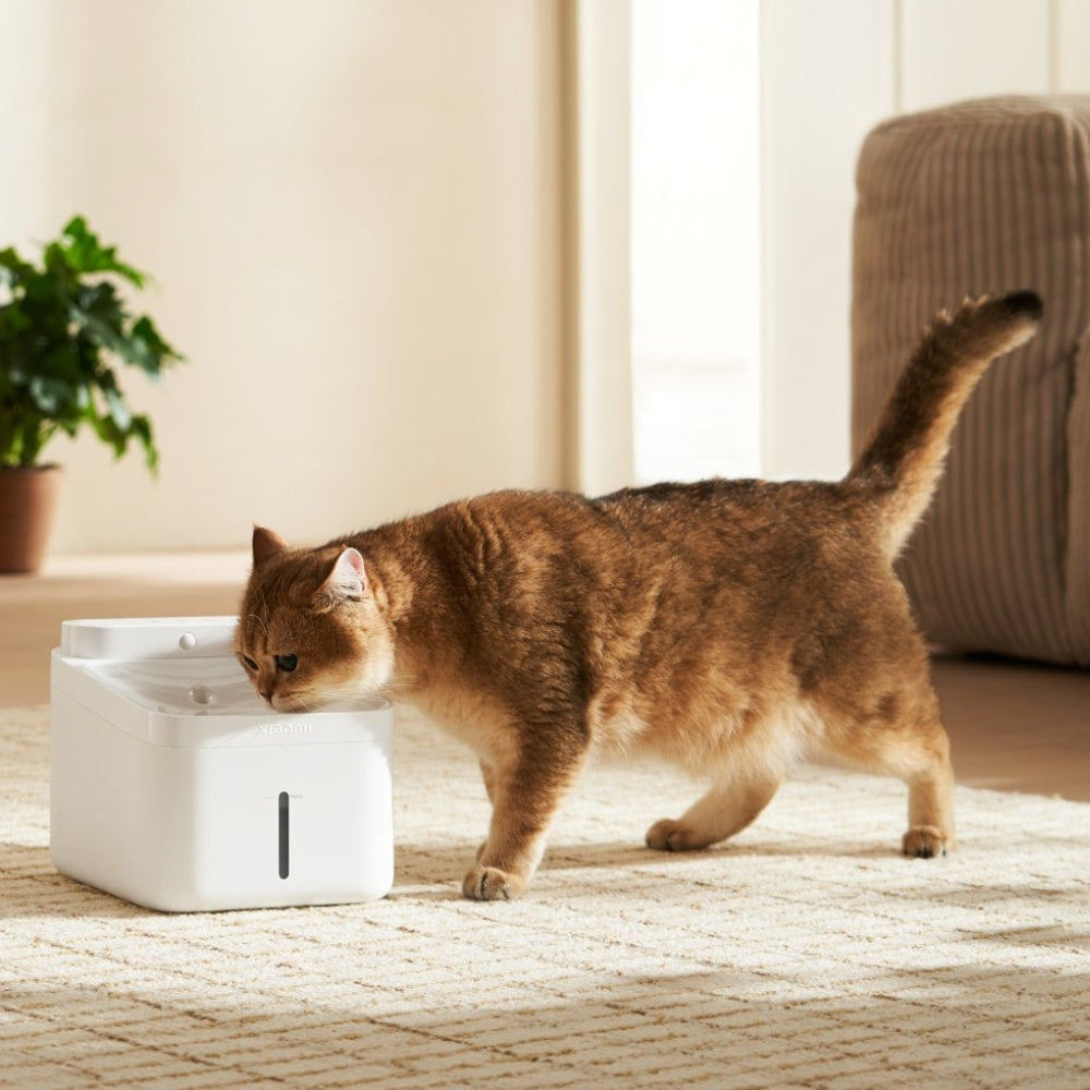 Xiaomi Smart Pet Fountain 2