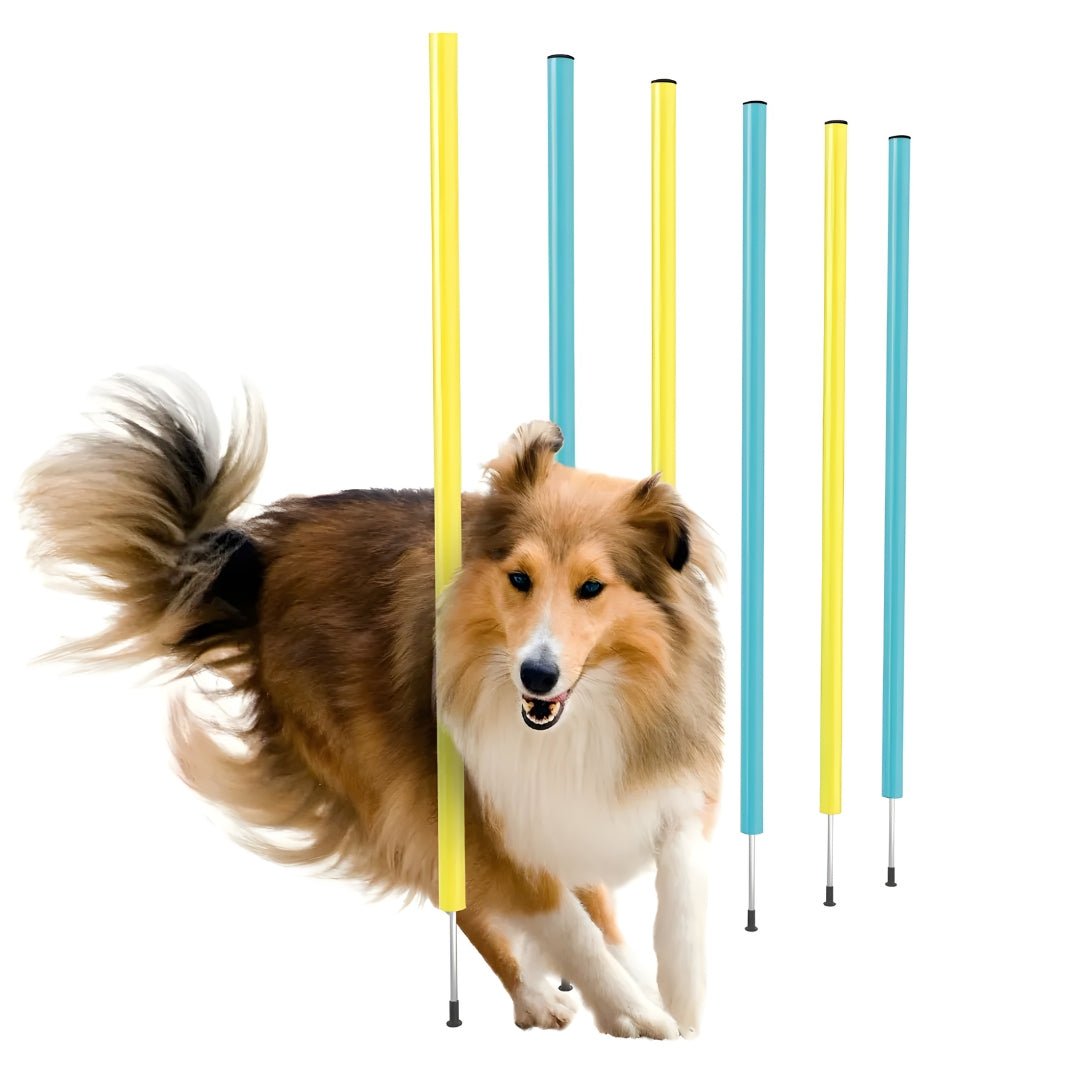 ZOOFARI DOG AGILITY SLALOM POLES: 6 PEGS