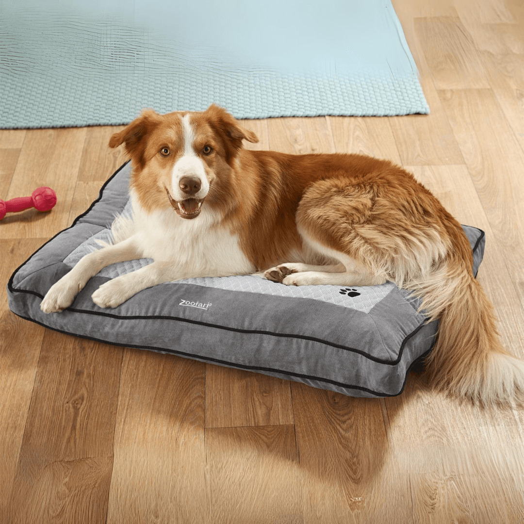 zoofari® Dog Cushion  90 x 60 x 24 cm