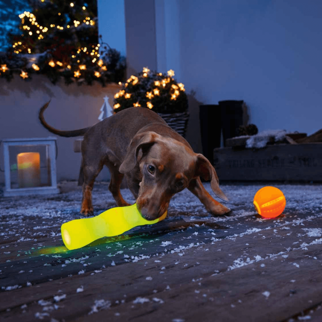 Zoofari LED Light Ball or LED Launch Toy Ball