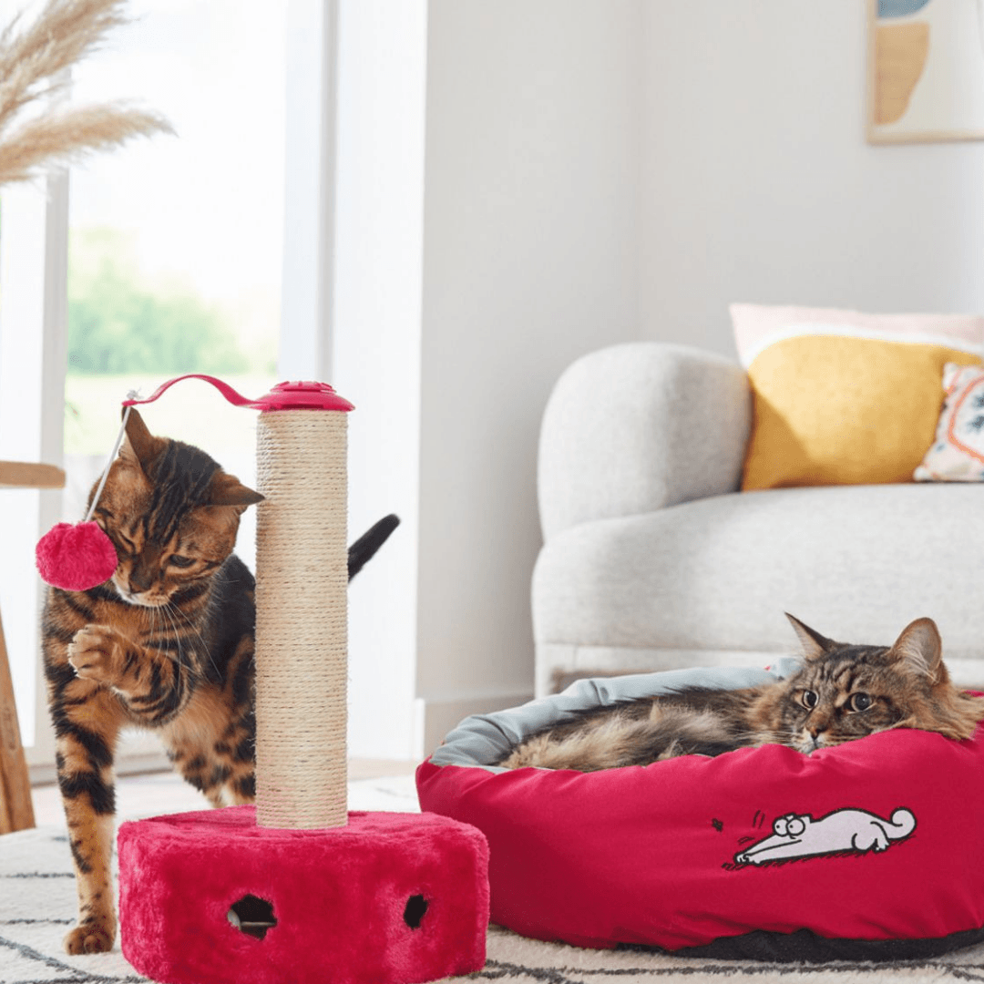 ZOOFARI SCRATCHING POST