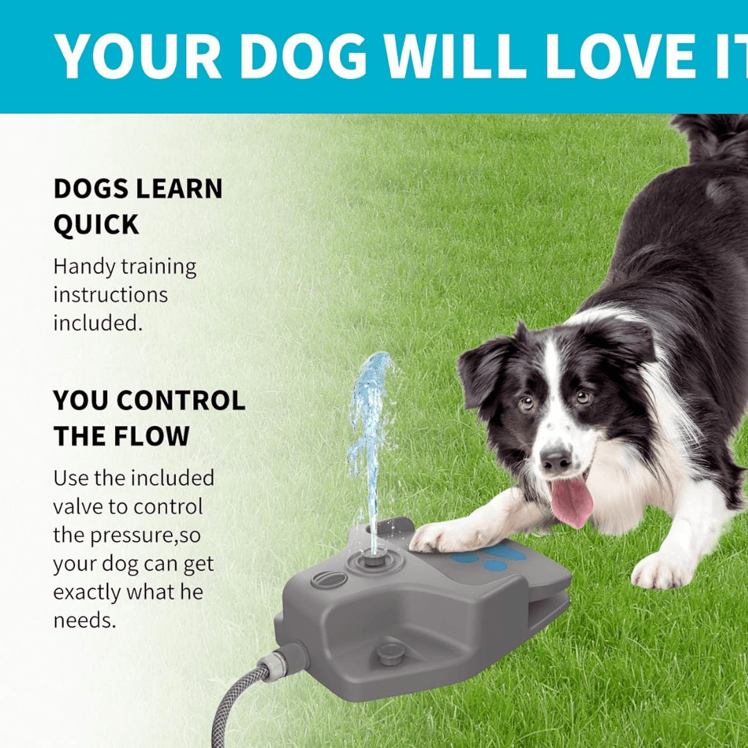 ZOOFARI STEP-ON DOG WATER FOUNTAIN